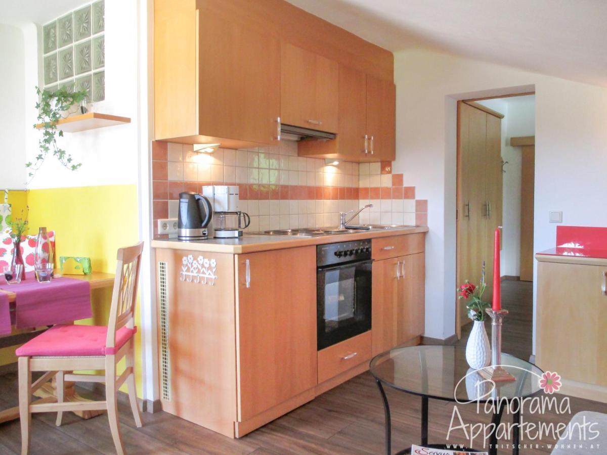 Panorama Appartement Ramsau am Dachstein Εξωτερικό φωτογραφία
