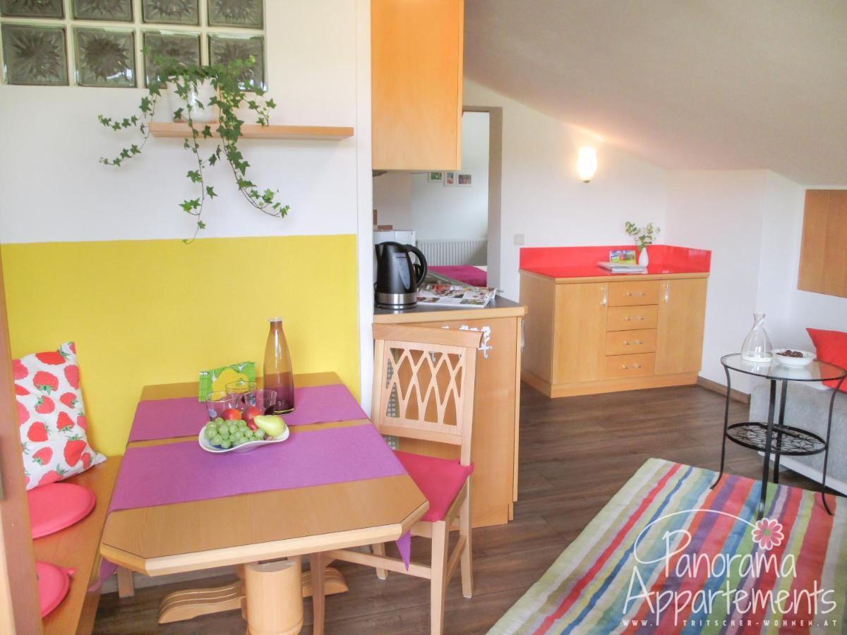 Panorama Appartement Ramsau am Dachstein Εξωτερικό φωτογραφία