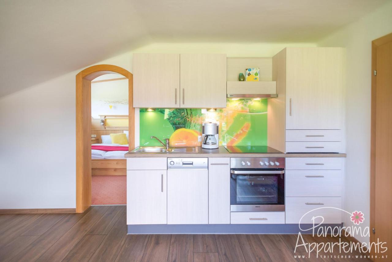 Panorama Appartement Ramsau am Dachstein Εξωτερικό φωτογραφία