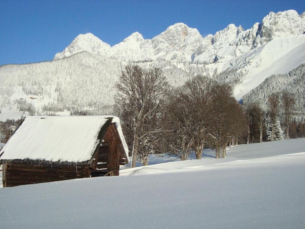 Panorama Appartement Ramsau am Dachstein Δωμάτιο φωτογραφία