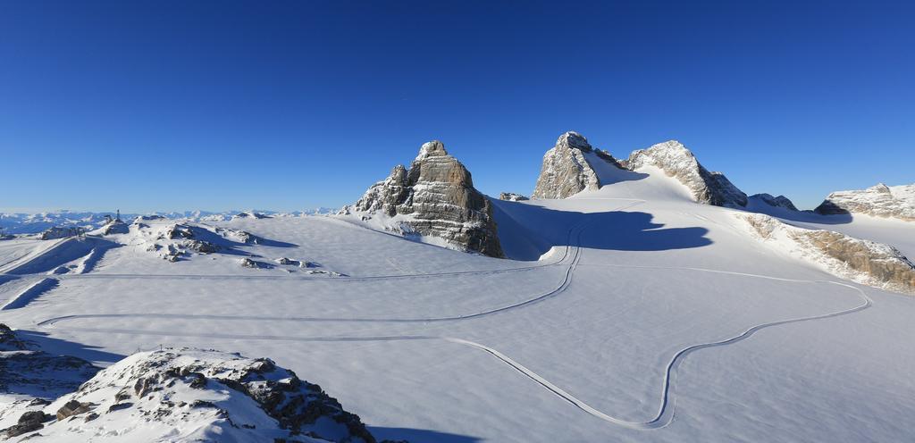 Panorama Appartement Ramsau am Dachstein Εξωτερικό φωτογραφία